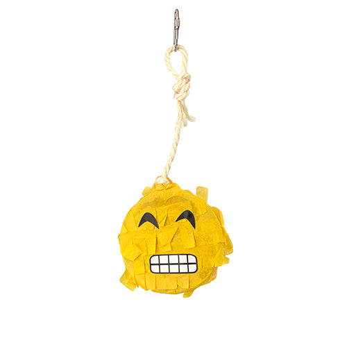 Bird Toy Pinata - Emoji Grimace