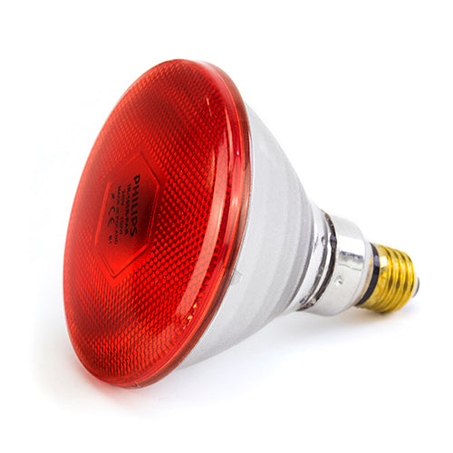 Infrared Light Bulb 175w (Phillips)