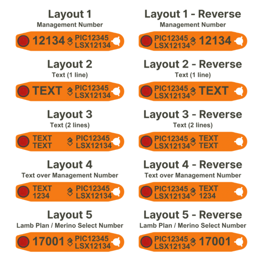 Allflex RapID NLIS EID Sheep Ear Tags