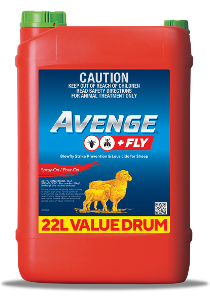 Avenge + Fly Lice & Flystrike Treatment for Sheep