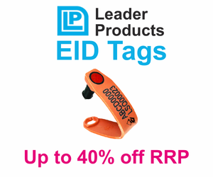 Leader Products Multipin NLIS EID Sheep Ear Tags