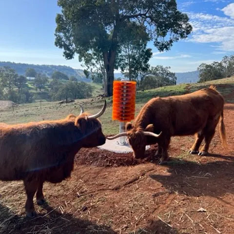 Cattle Scratch Brush - Totem
