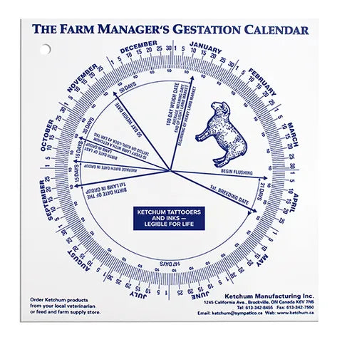 Gestational Calendar