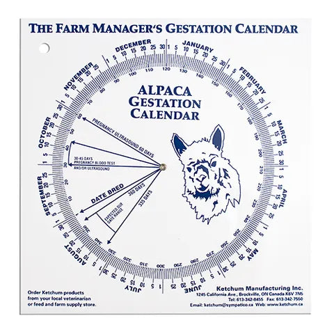 Gestational Calendar